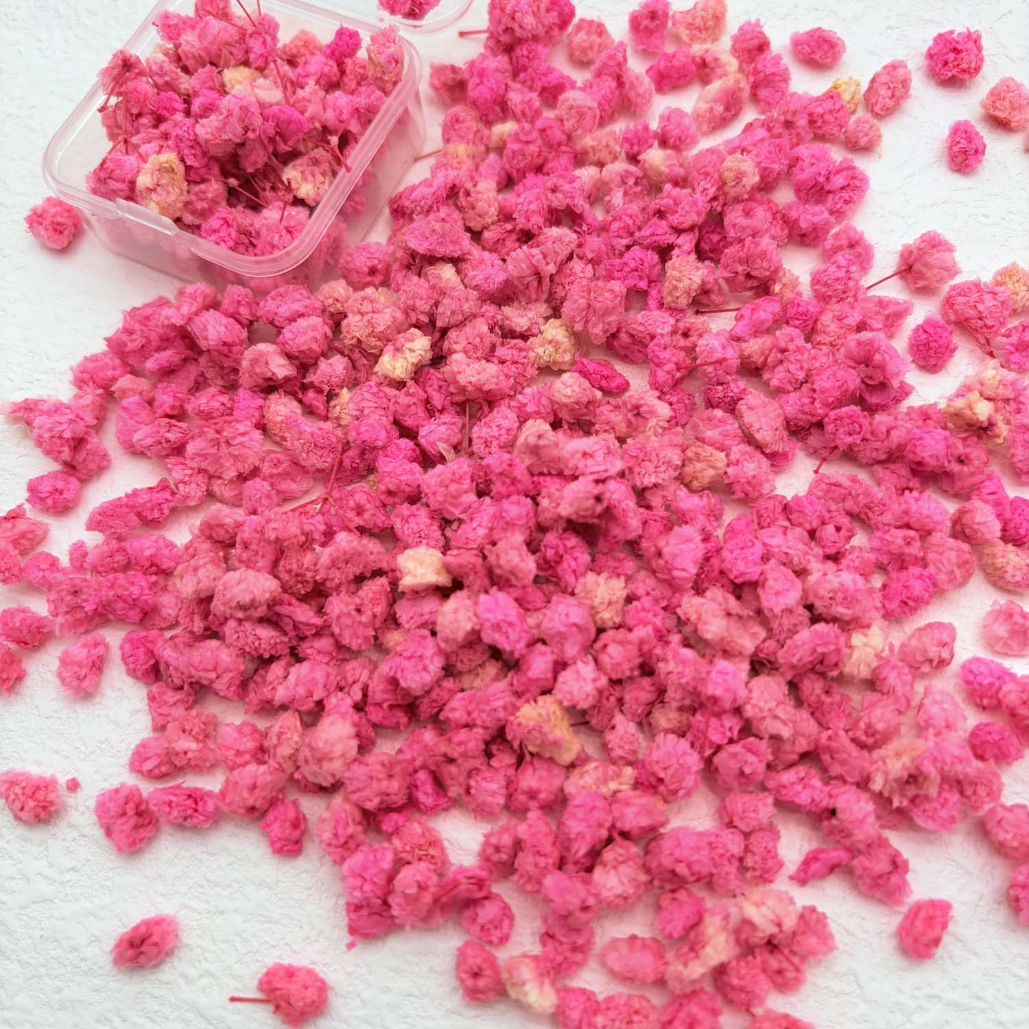 1 Box Bunte Blütenköpfe Handge – Home Decor Daisy Bewertung und Preis